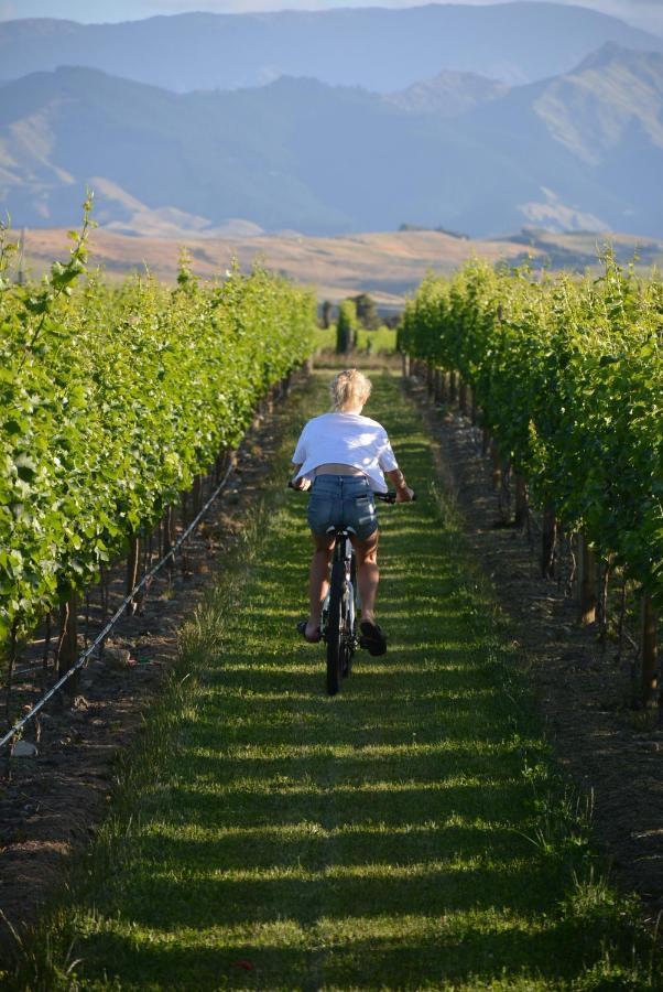 Renwick Ddog Vineyard & Bnb מראה חיצוני תמונה