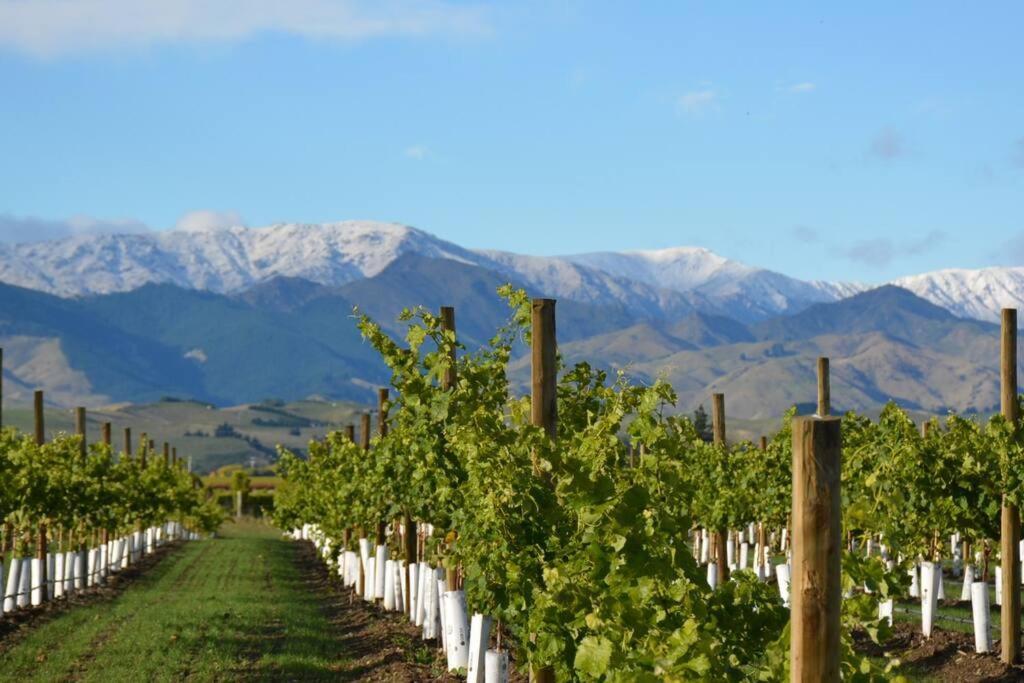 Renwick Ddog Vineyard & Bnb מראה חיצוני תמונה