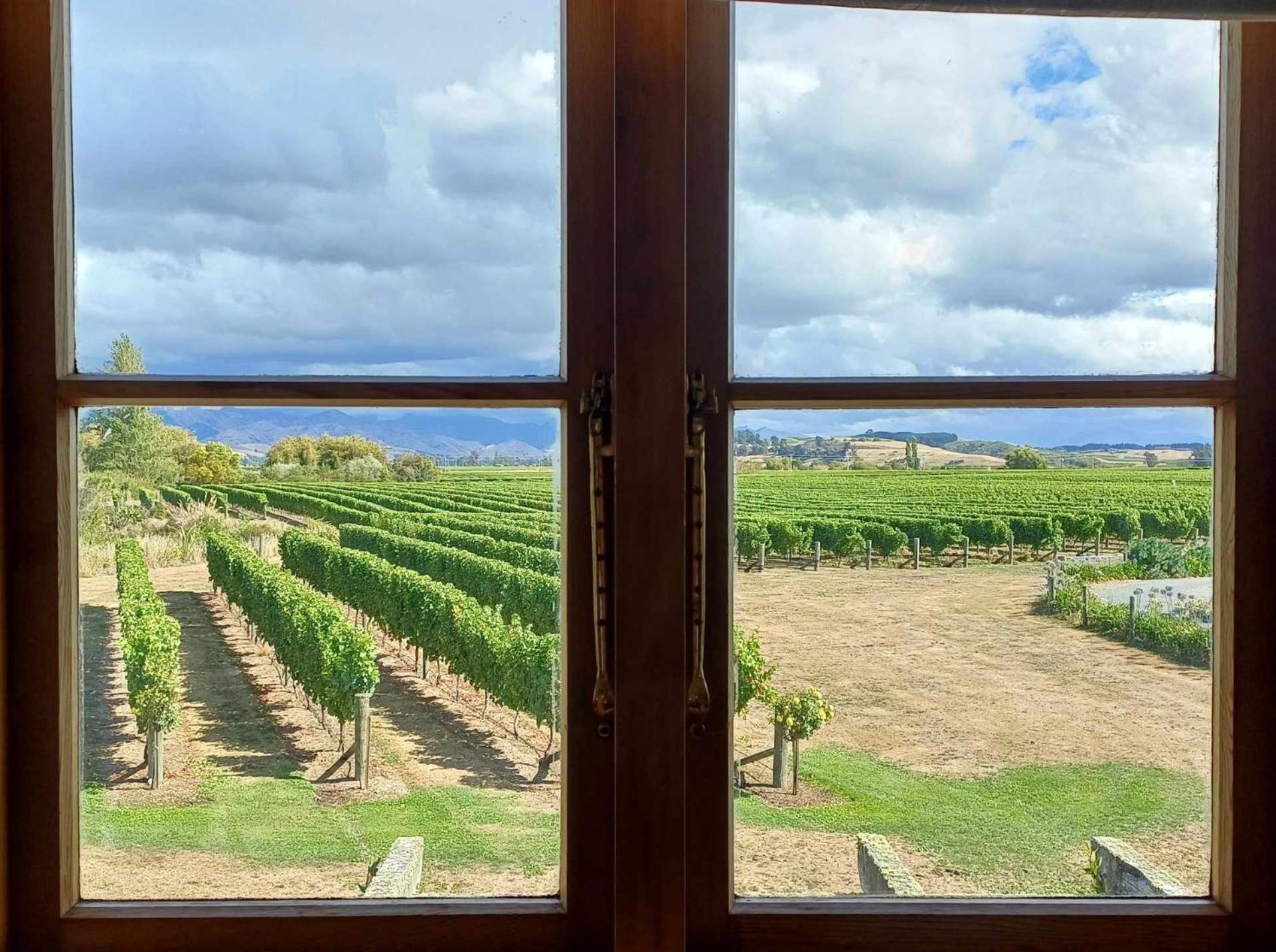 Renwick Ddog Vineyard & Bnb מראה חיצוני תמונה